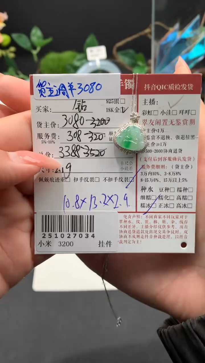 颈饰18K金镶嵌翡翠姐姐251027034