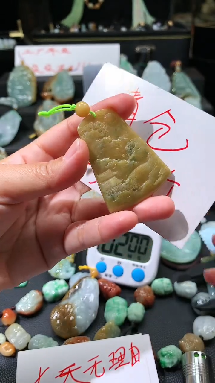 【闪购商品】翡翠颈饰未镶嵌挂件