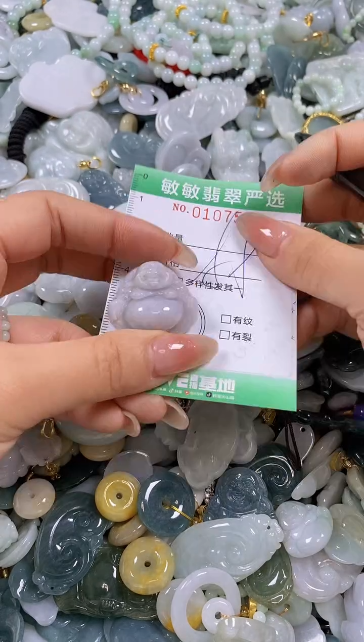 【闪购商品】翡翠颈饰未镶嵌闪购0107502