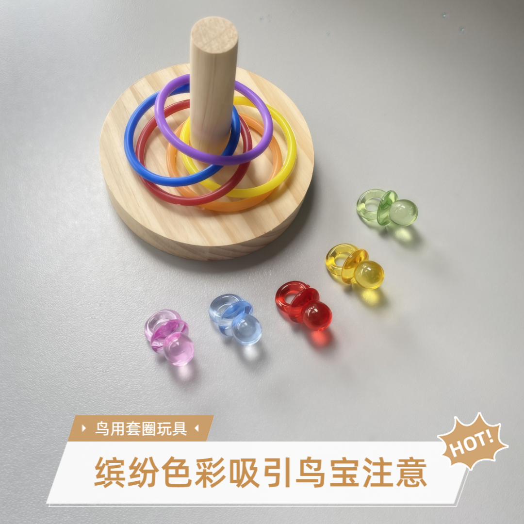 鹦鹉专用彩色套圈啃咬玩具虎皮牡丹玄凤小太阳鸟益智鹦鹉玩具