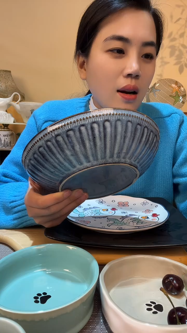 【闪购商品】瓷片8英寸碗  微瑕介意勿拍