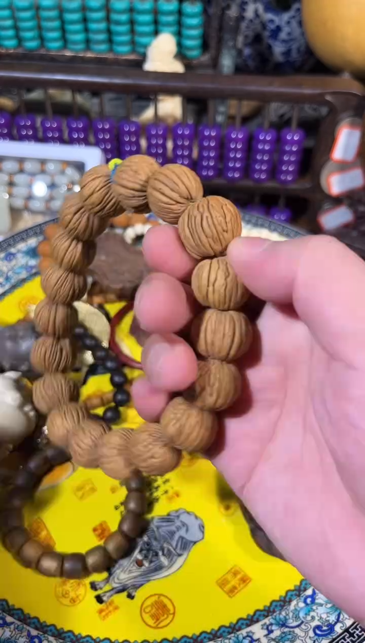 黄杨木11111111111111