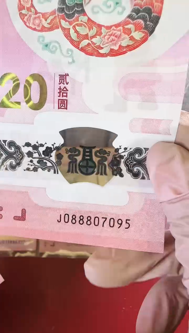 【闪购商品】塑料2025蛇钞钞单张啊啊啊啊啊啊啊啊裸