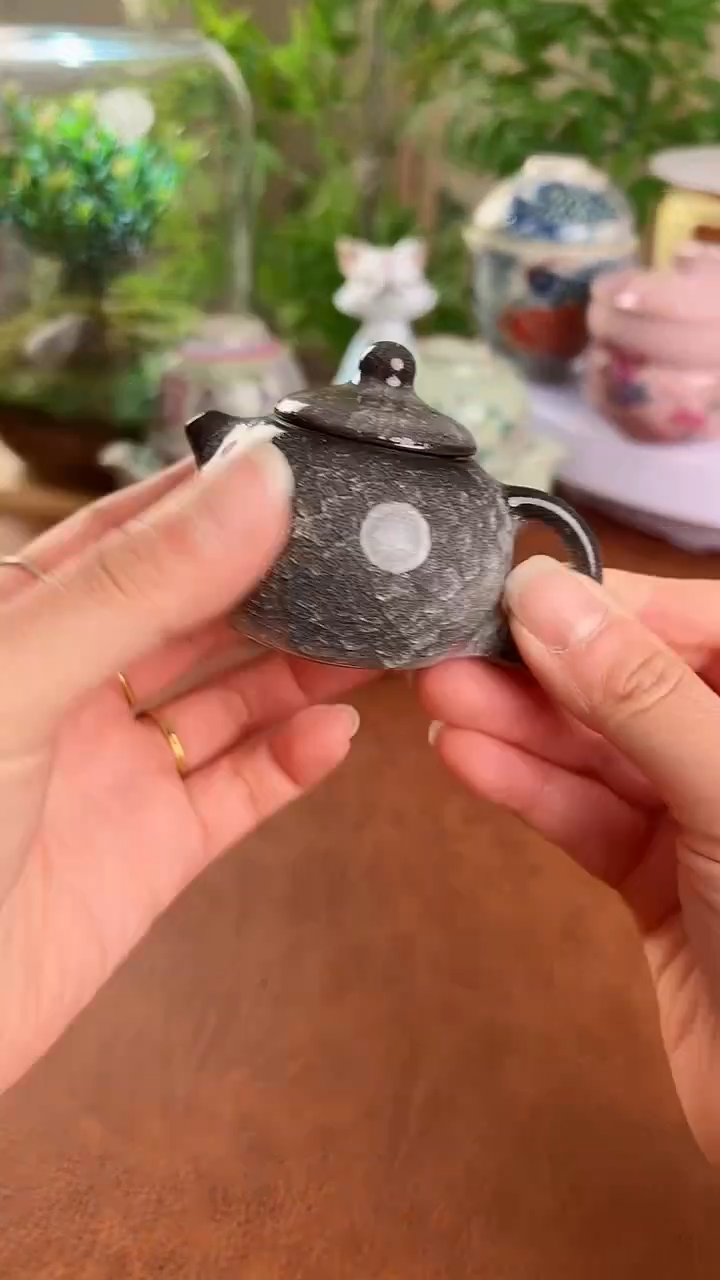 【闪购商品】老实人茶具铺快客