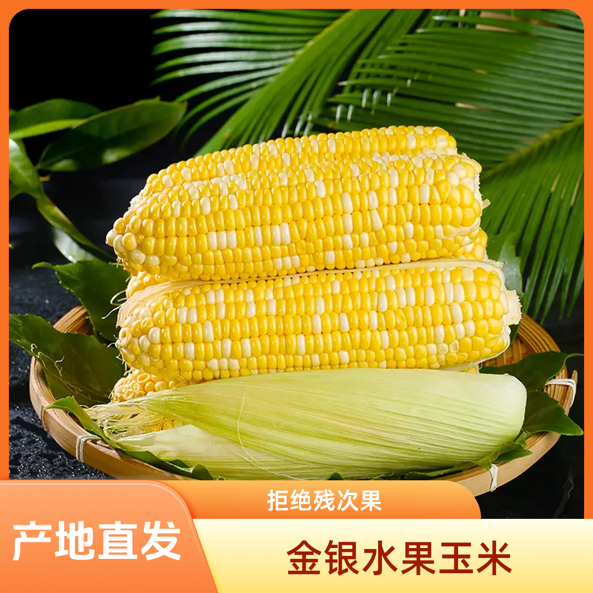 布鲁士云南新鲜水果玉米现摘现发甜玉米农家自种当季金银玉米甜嫩