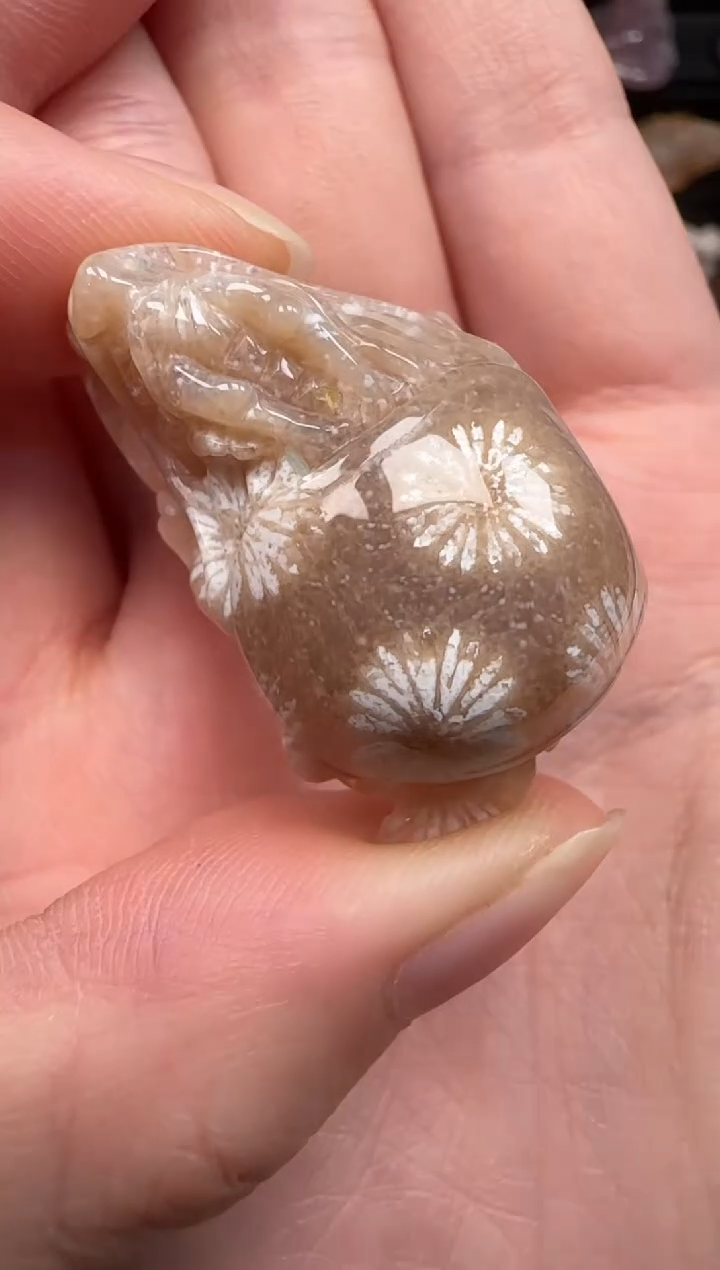 硅化珊瑚（珊瑚玉）未镶嵌颈饰105