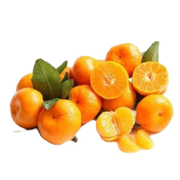 沈记砂糖橘9斤以上