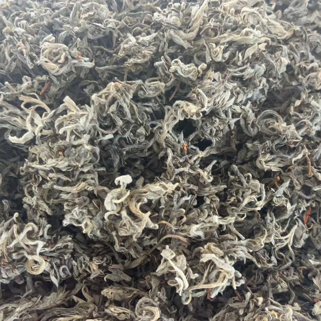 老鹰茶直播间现场 称重 现场挑选