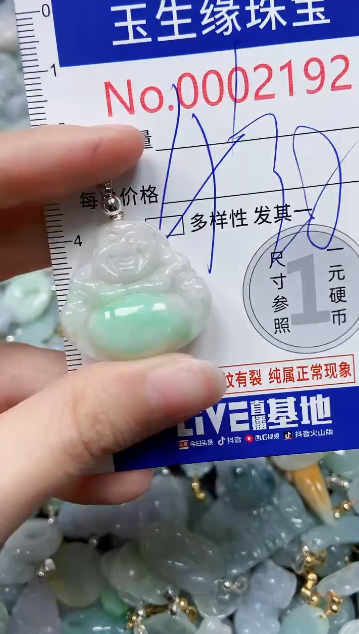 【闪购商品】翡翠颈饰未镶嵌闪购00002192