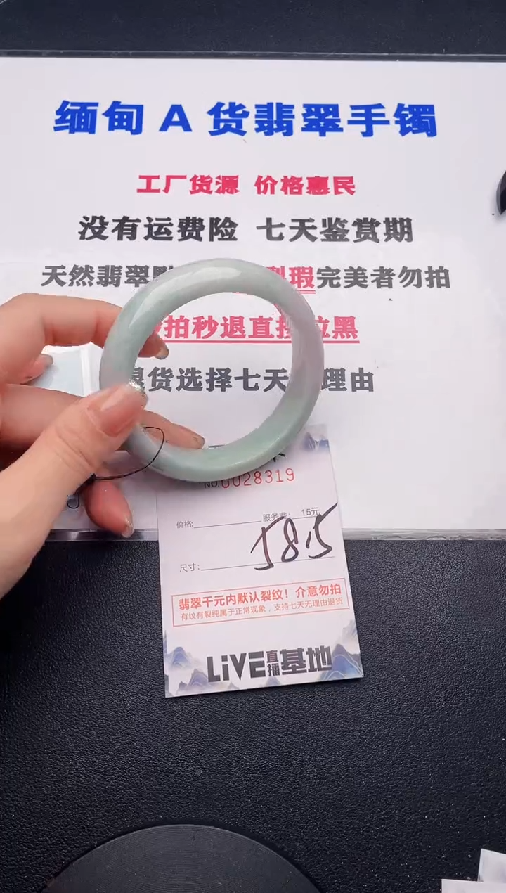 未镶嵌手镯翡翠19