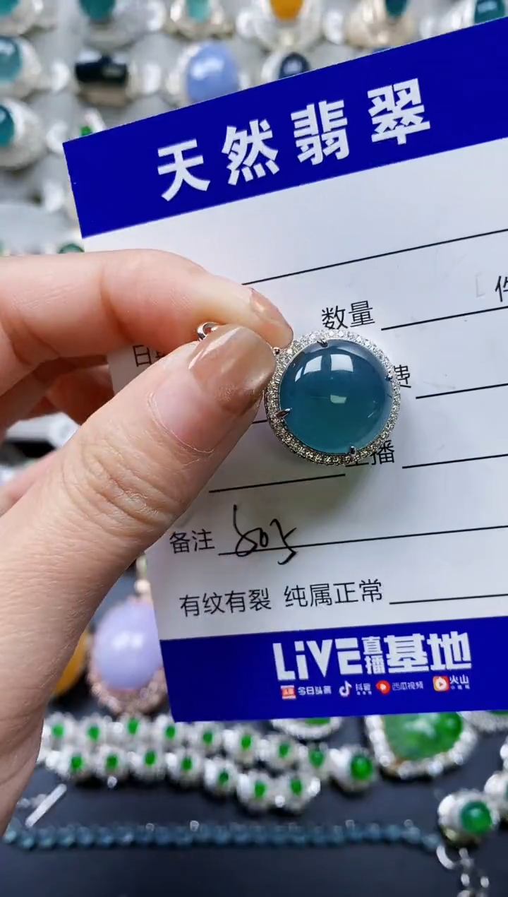 【闪购商品】翡翠颈饰银S925镶嵌0505