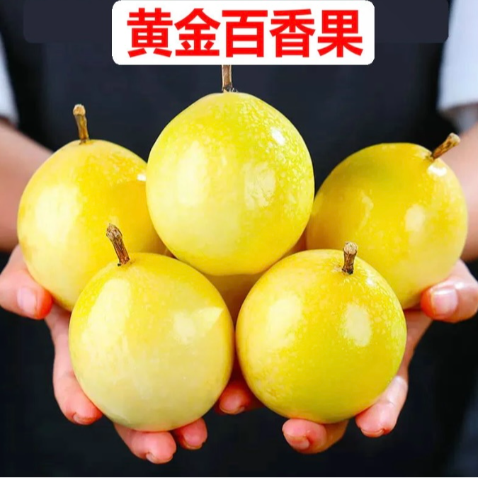 广西钦蜜九号黄金百香果  香甜营养多汁口感gr