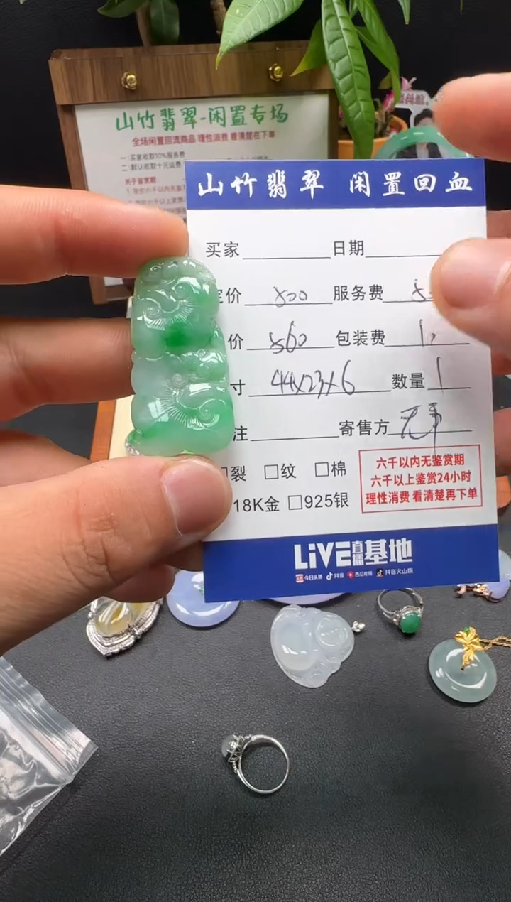 颈饰未镶嵌翡翠3002553