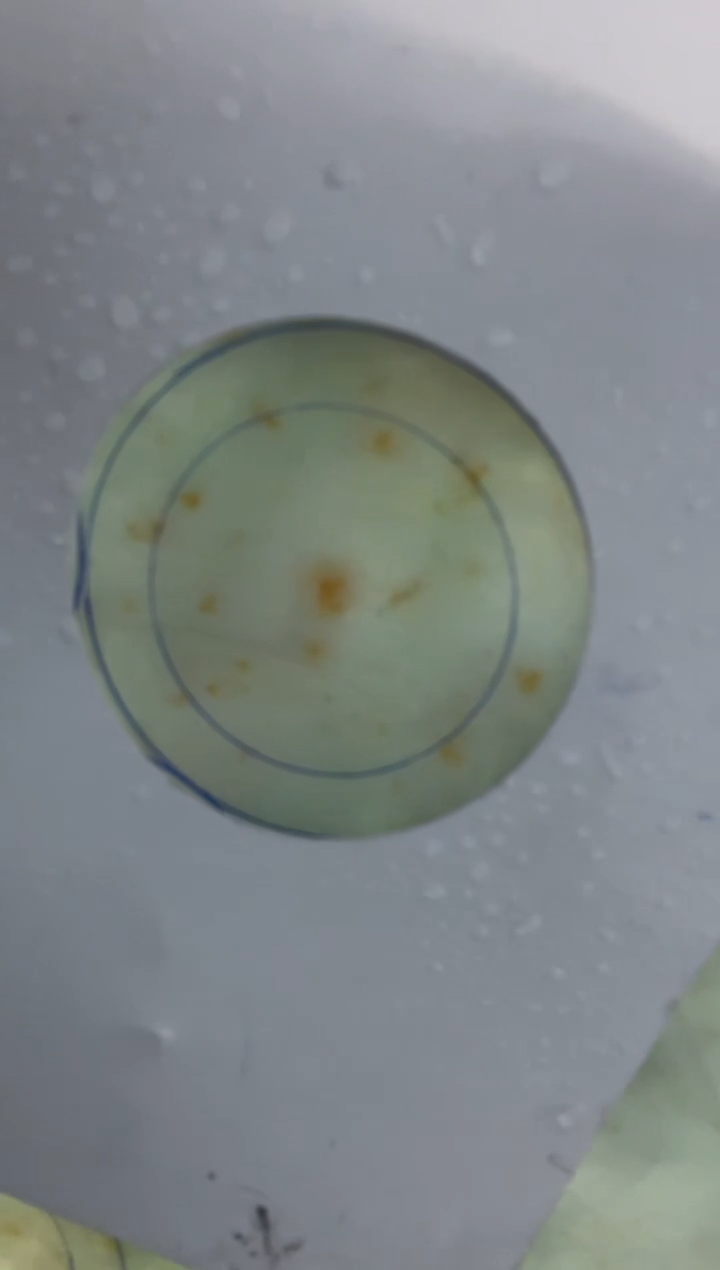 【闪购商品】定制翡翠手镯未镶嵌定制手镯AJC14/DZS