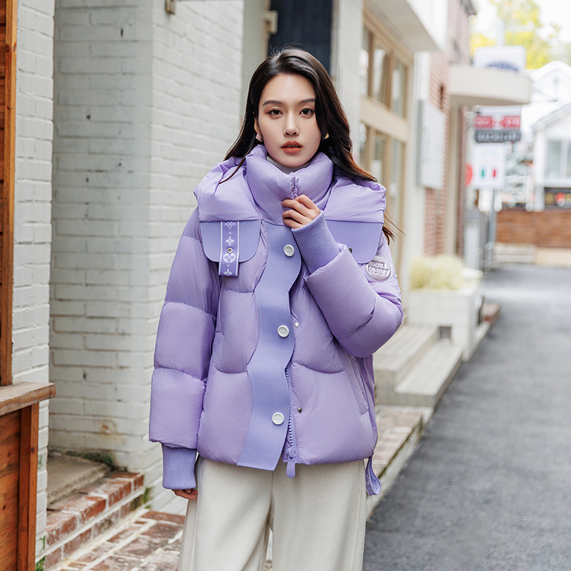 2025厚款连帽立领短款蓬松保暖潮流休闲极简风-E086