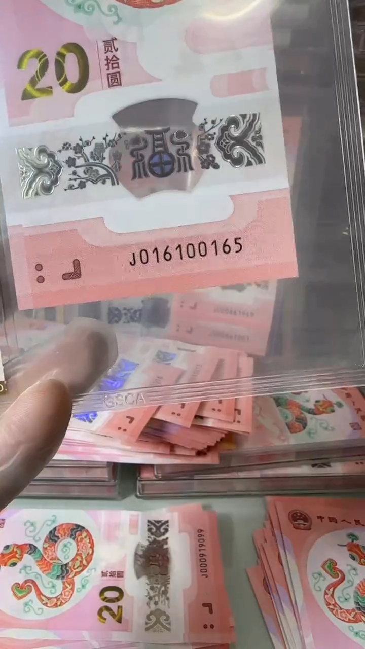 【闪购商品】塑料016100165-蛇钞单张！