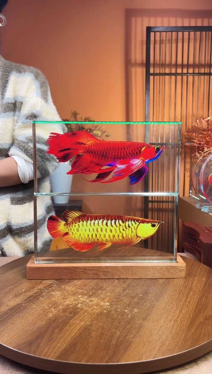 人造水晶烟**雨方形 30/15/4金龙鱼＋红龙鱼加底座