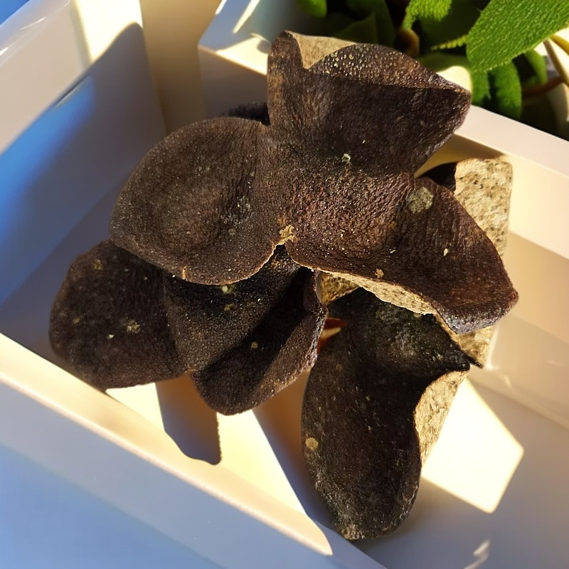 2023塞口围梅江新会陈皮100%正品产地直销特产干仓中秋回家手礼