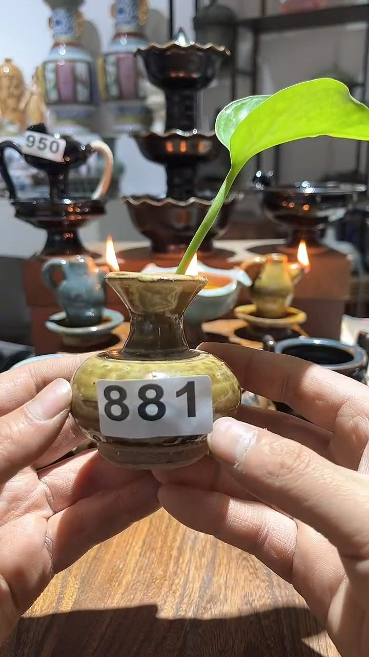 【闪购商品】摆件                  