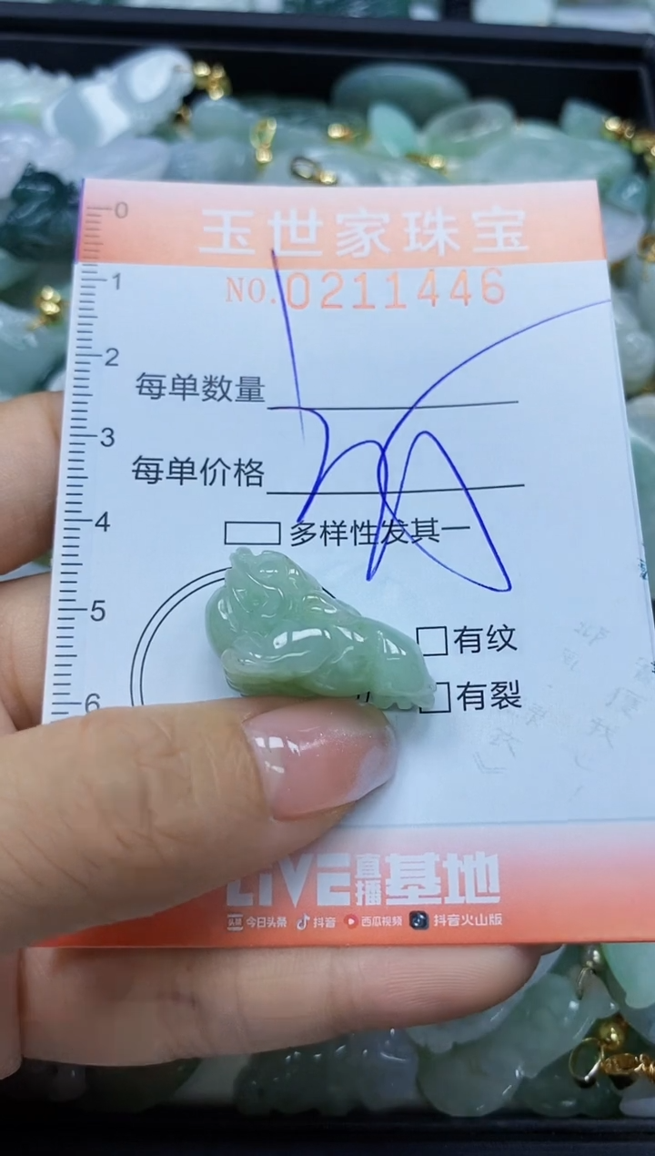 【闪购商品】翡翠颈饰未镶嵌闪购0211446