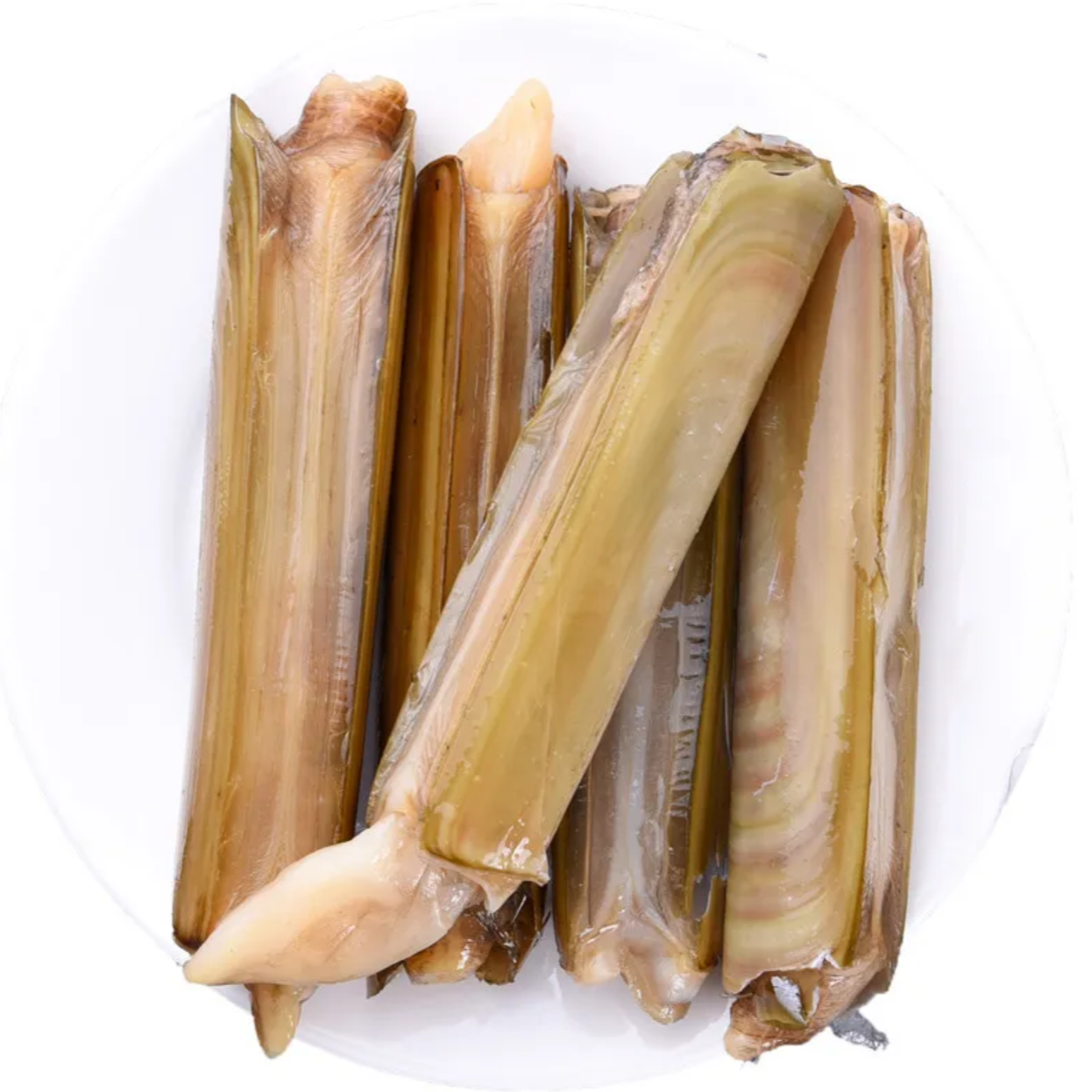 鲜活蛏子皇 约500g（包鲜不包活）