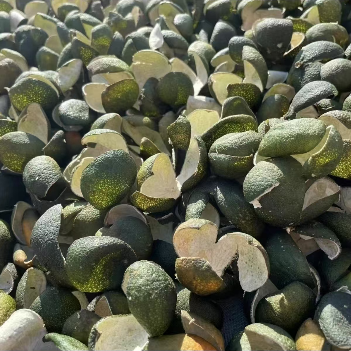 【阿强收皮】英洲围 8陈化 三花青灯青  带霜青皮 罐装 250g