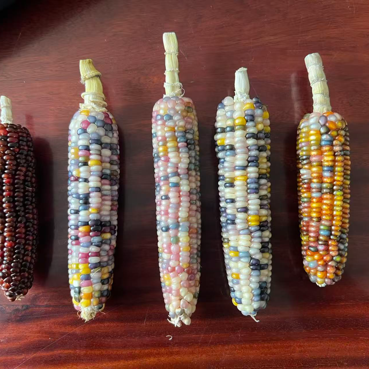 七彩琉璃宝石文玩玉米（直播间一物一拍请勿私拍）