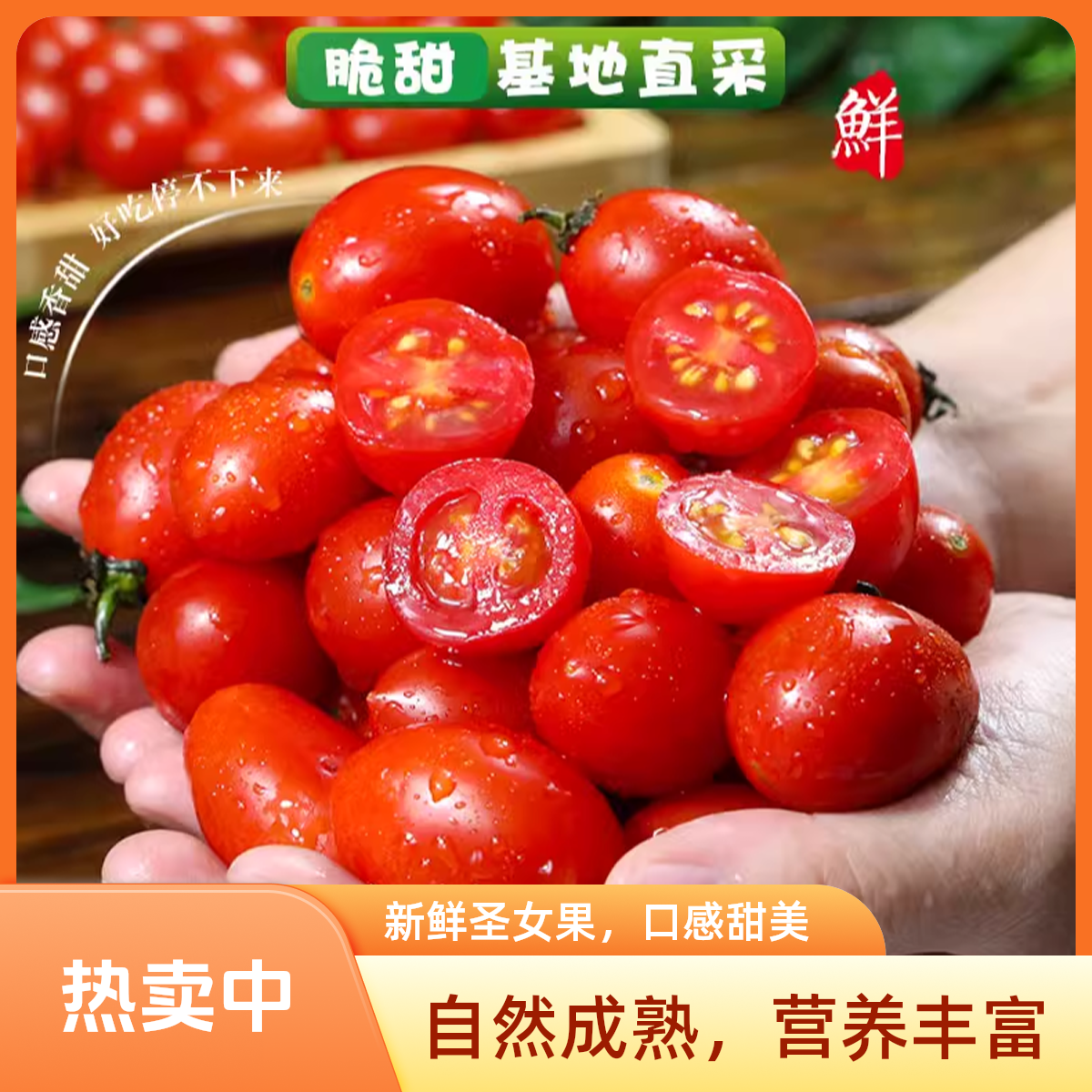 正宗攀枝花千禧/圣女果小番茄新鲜采摘酸甜多汁3斤/5斤【川渝贵阳次日达 顺丰/京东包邮】四川省