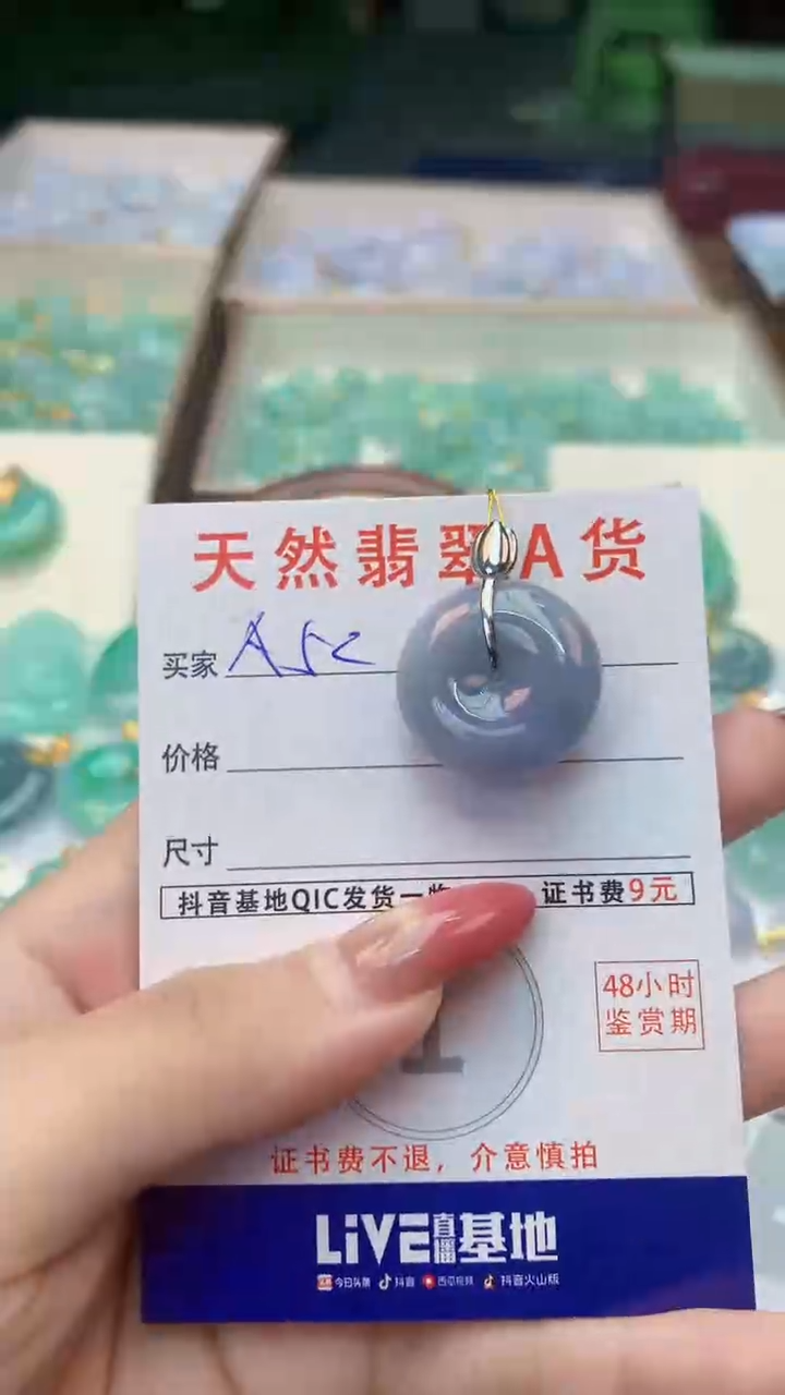 颈饰未镶嵌翡翠天然A货翡翠挂件