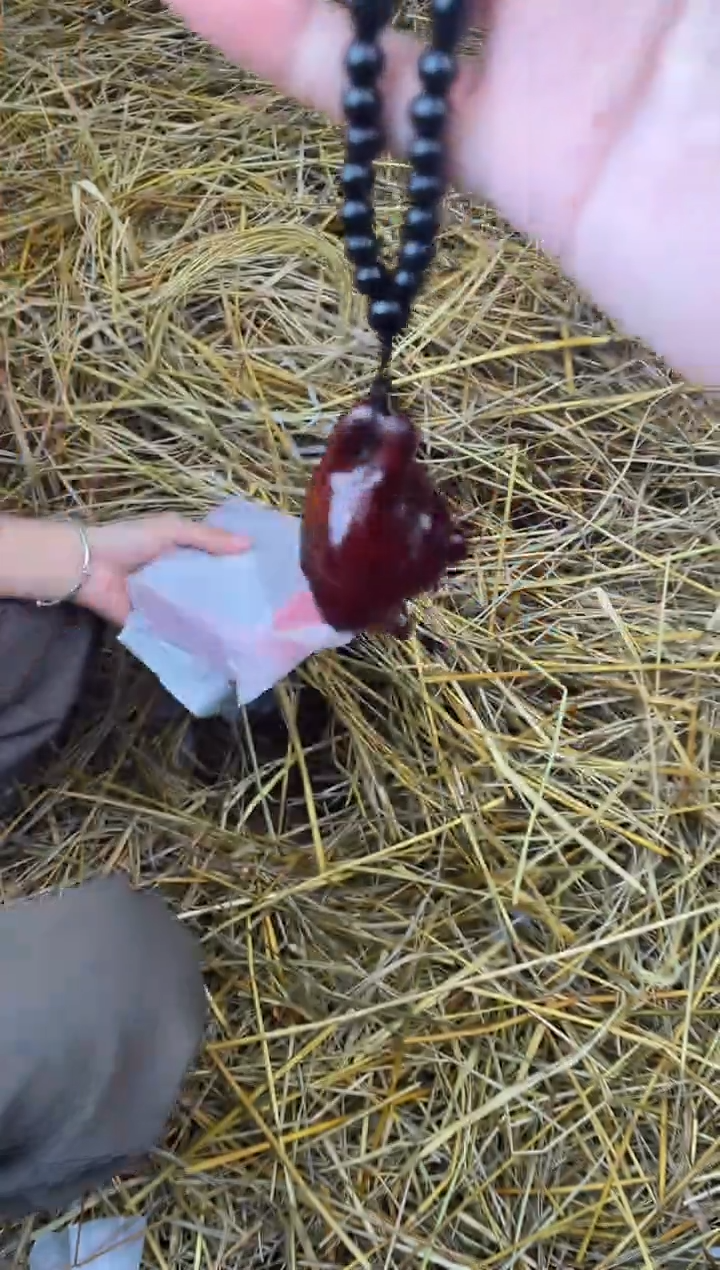 见禧甄选闪购商品V无礼盒