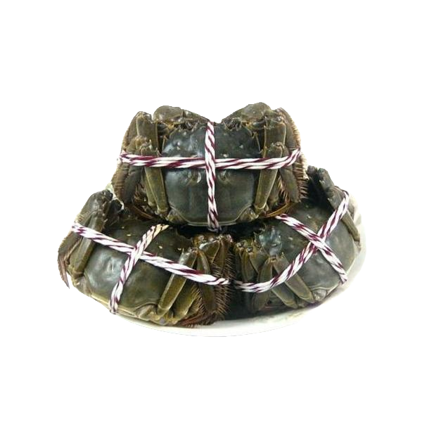 闸蟹，公蟹10只  单只2-2.5两【鲜活发货】