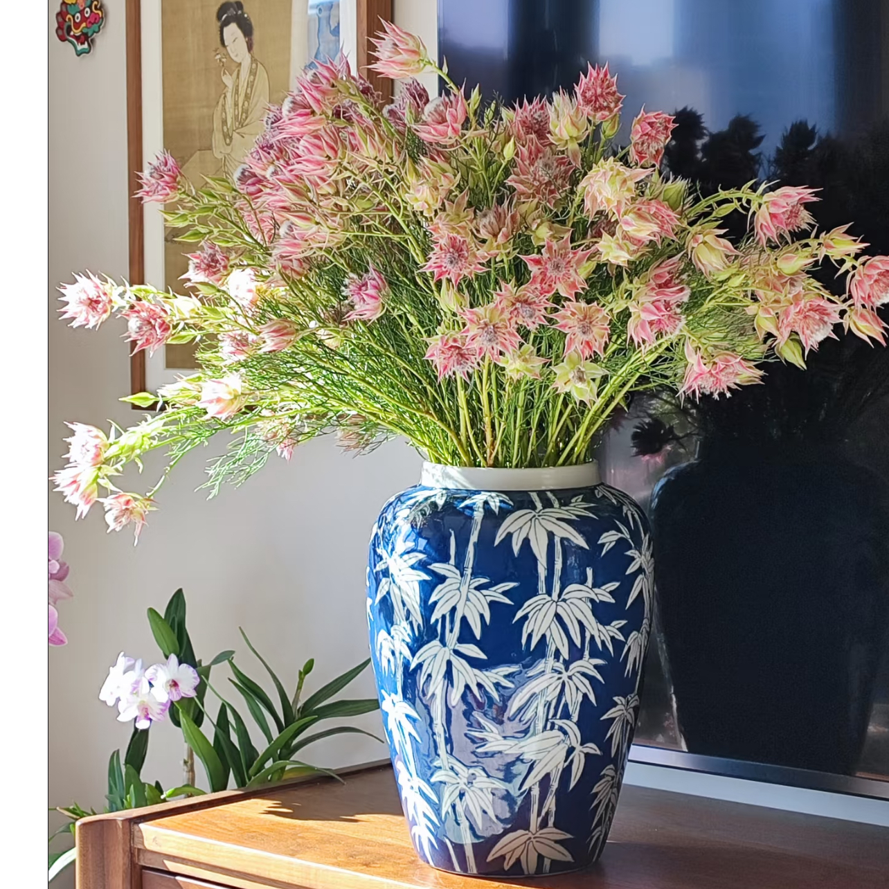 【壹束干花】小众花材——  新娘花 