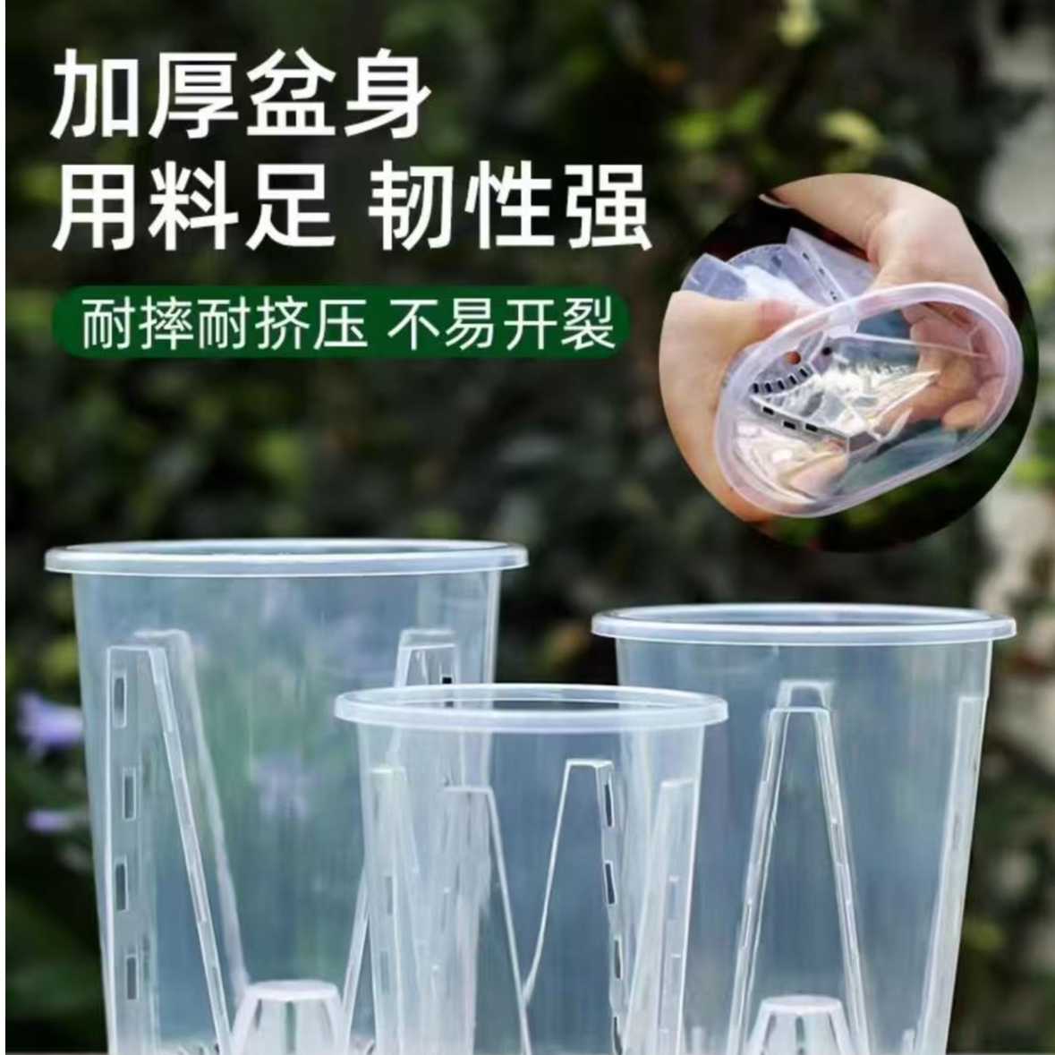 蝴蝶兰兰花空气柱柱气生根塑料养根盆透水透气不烂根2014新款