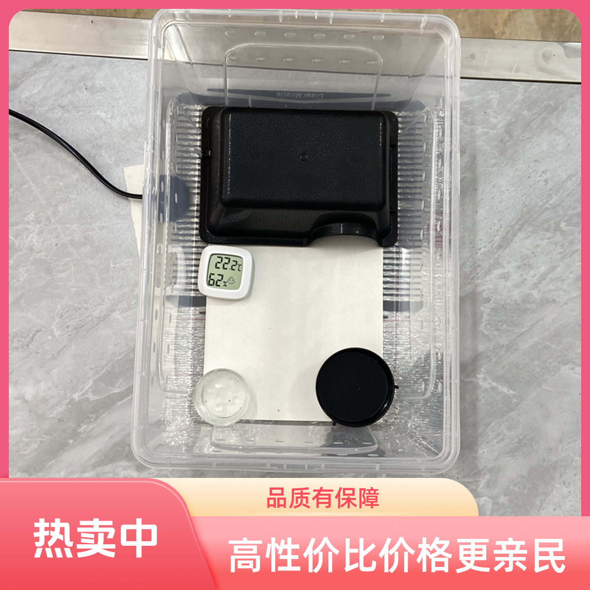 豹纹守宫饲养套装工具新手爬宠饲养套餐适用于多种爬宠异宠