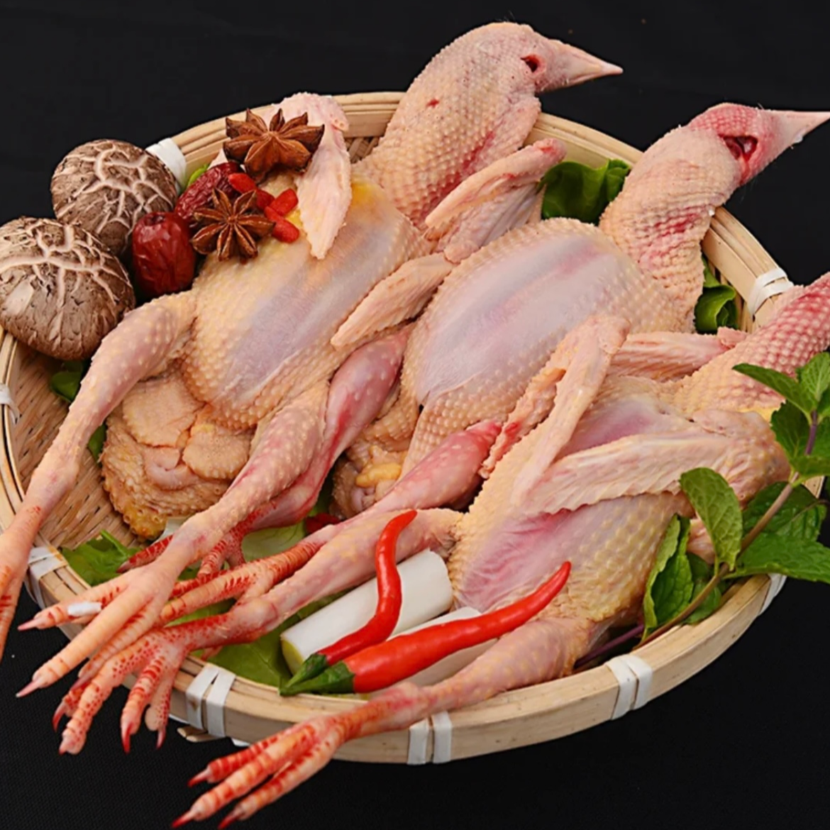 现杀现挑现发 顺丰包邮 4只6.5两老鸽（半净膛）