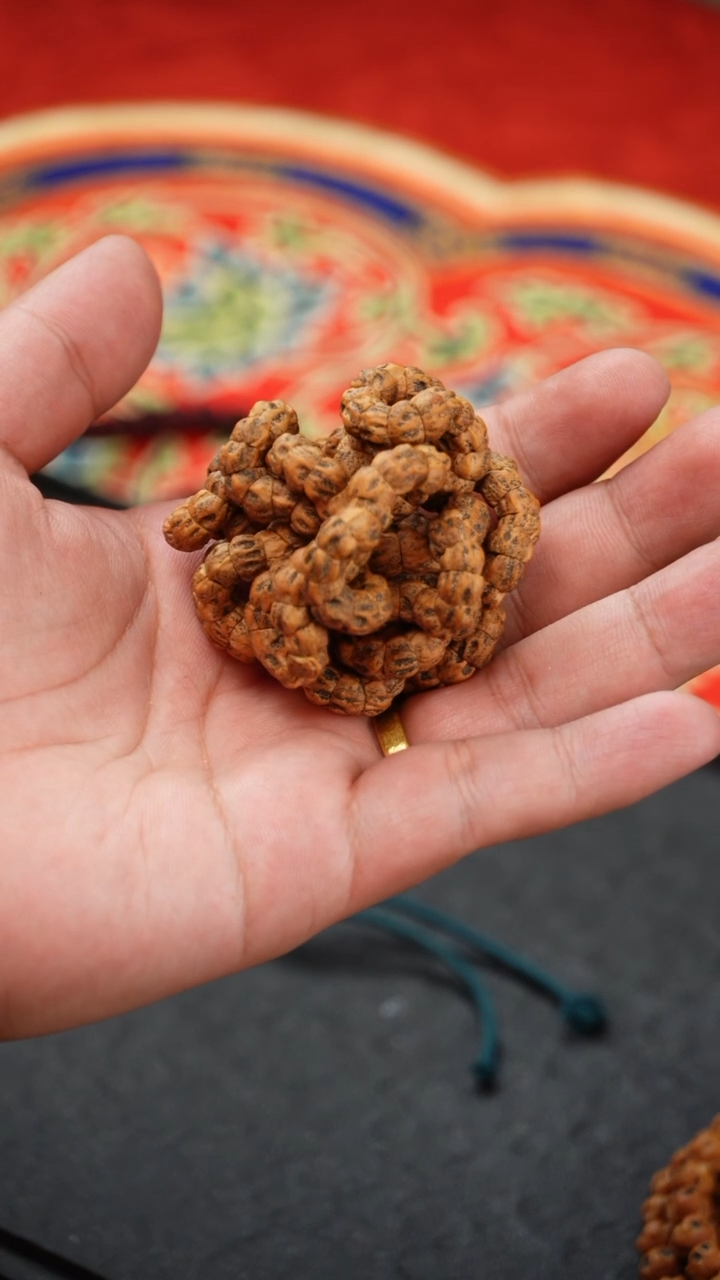 【闪购商品】柏香籽/百香籽手串天龙肠