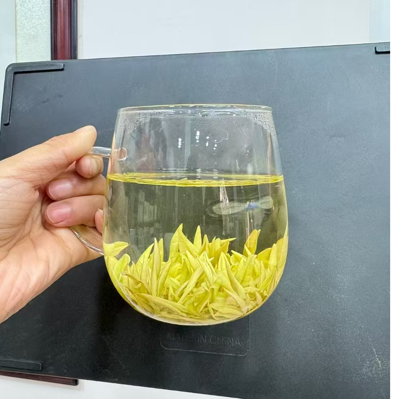 【2025高山奶白茶】2025年叶尖香奶白黄金芽