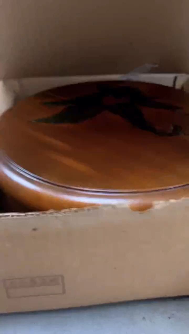 瓷片1106聚宝缘海淘精选