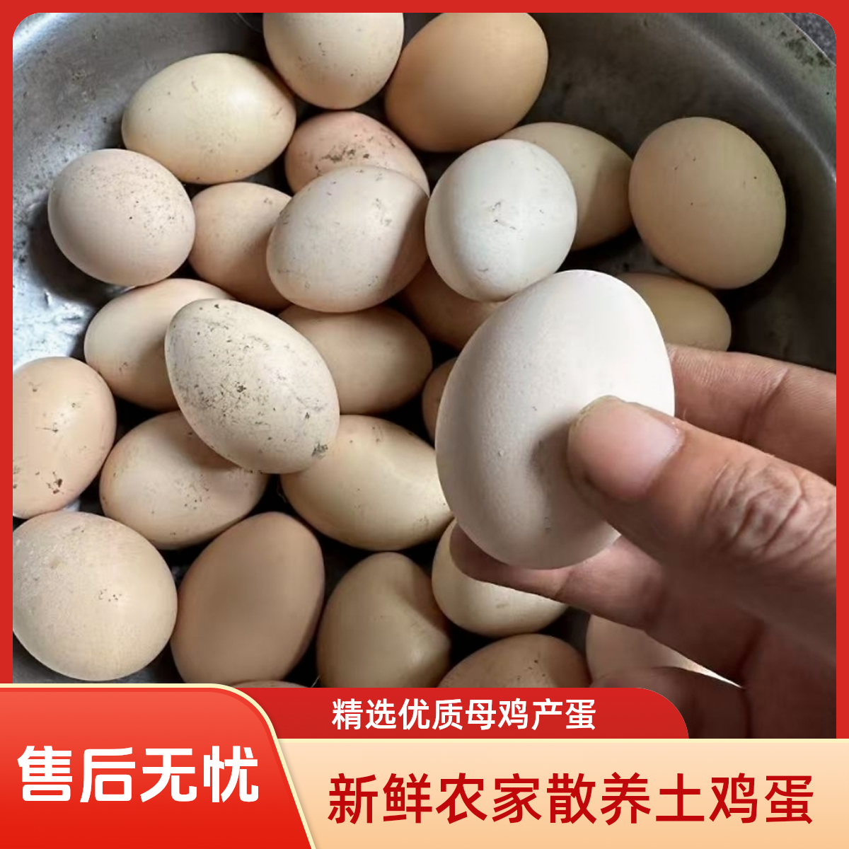 农家散养纯粮食土鸡蛋新鲜健康营养适合孕妇月子早餐
