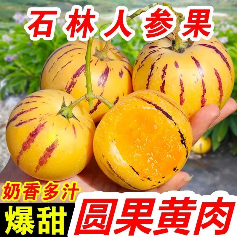云南石林人参果树熟大果黄心熟果新鲜水果包邮商品图