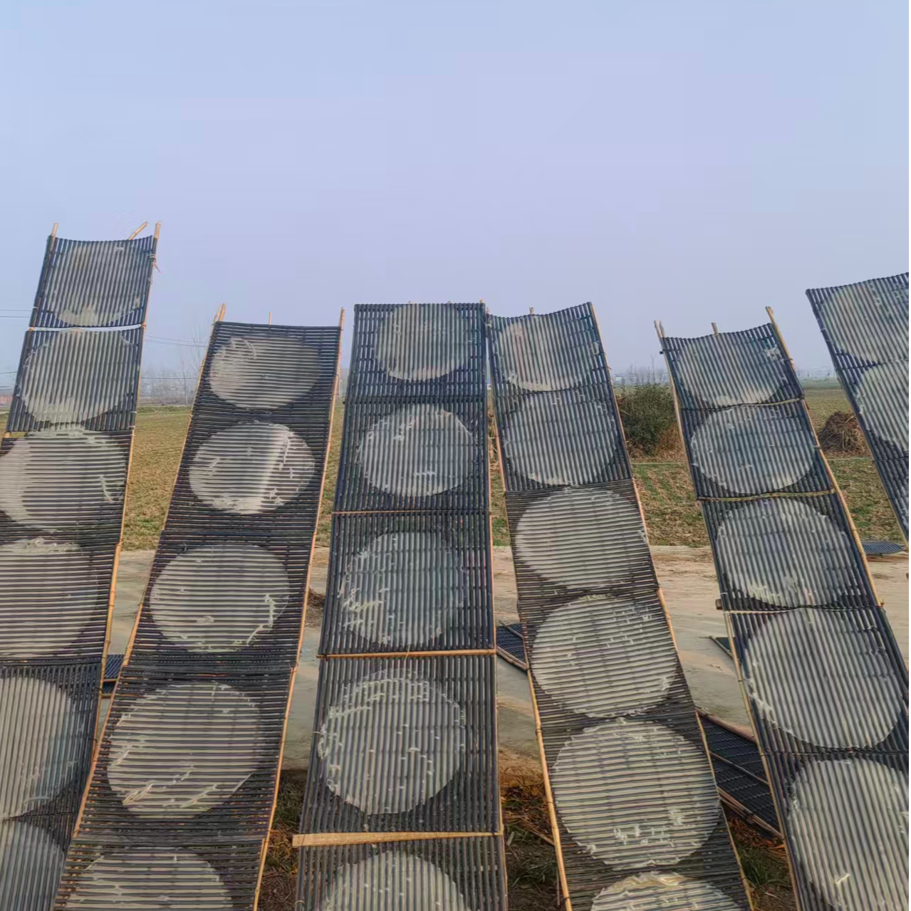 建国农副产品粉皮