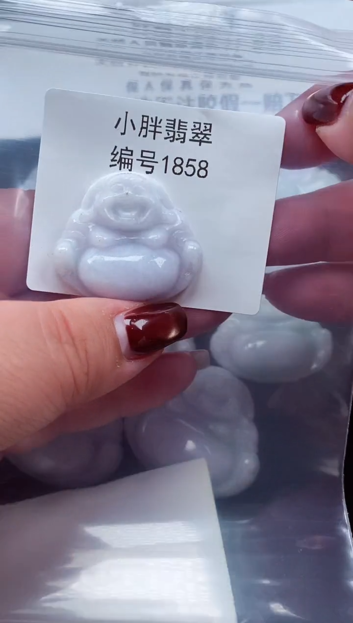 颈饰未镶嵌翡翠缅甸天然A货翡翠1858