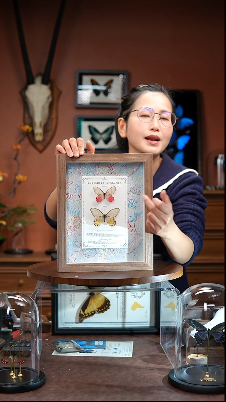 N138   玫瑰绡眼蝶与黄晶眼蝶组合   绢布款