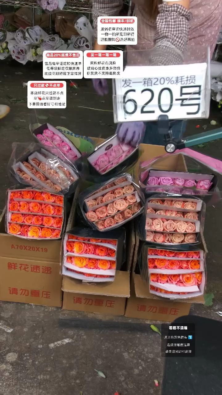 620号♥含20%耗损发一箱