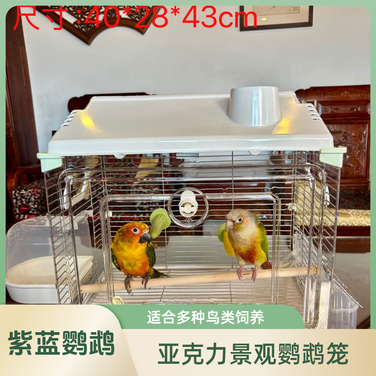 紫蓝鹦鹉景观鹦鹉笼小太阳金太阳和尚牡丹通用别墅亚克力全套笼