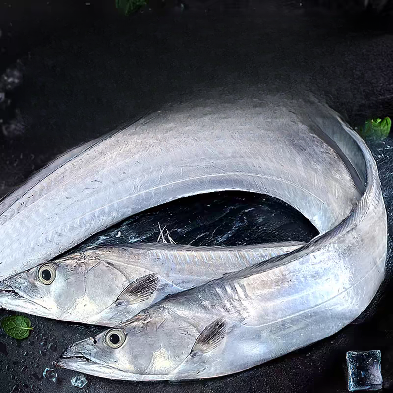 顶带【10-12两】带鱼舟山新鲜整条雷达网小眼东海大带鱼冷冻