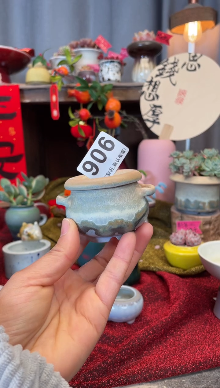 【闪购商品】摆件906知木小芳花盆