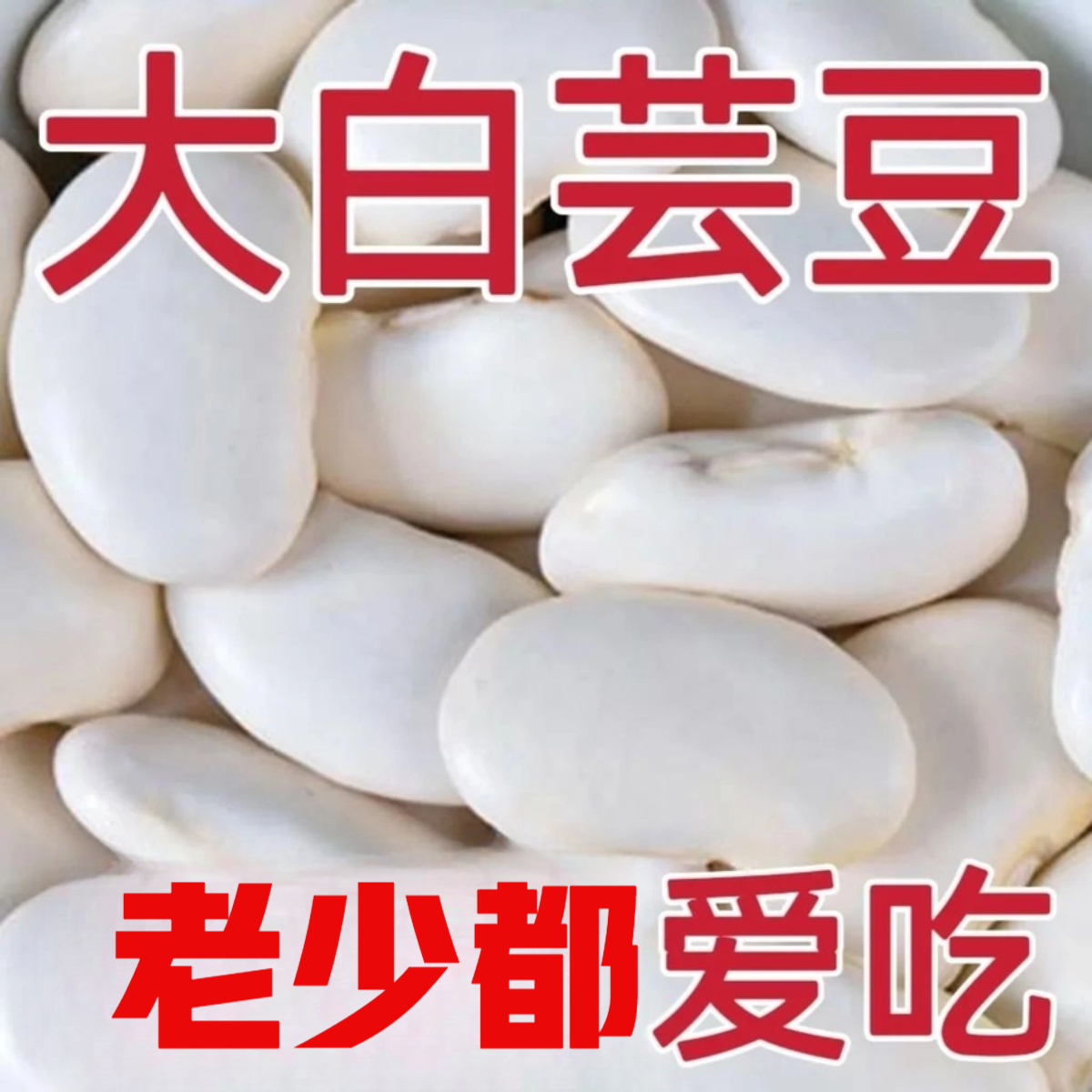 白芸豆干货500g新货白腰豆大芸豆新鲜云豆大豆无硫大白豆10g粗粮