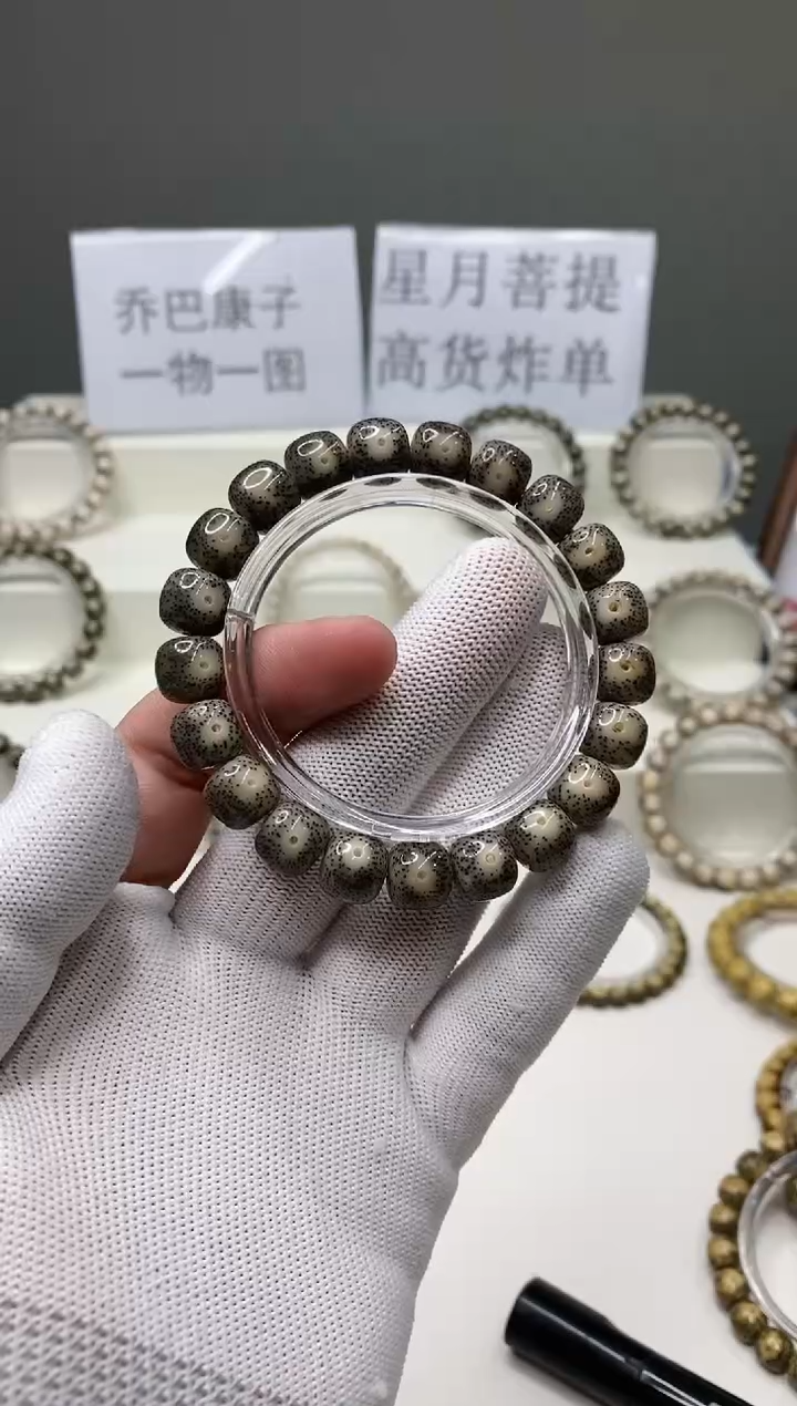 手串星月菩提190      b24