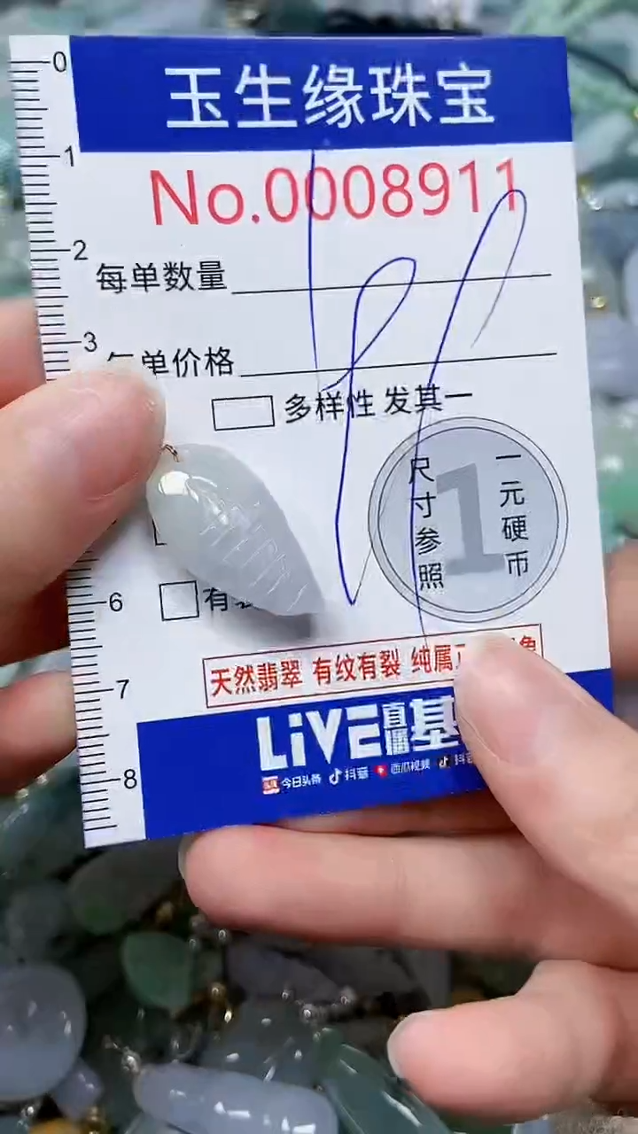 【闪购商品】翡翠颈饰未镶嵌闪购00008911